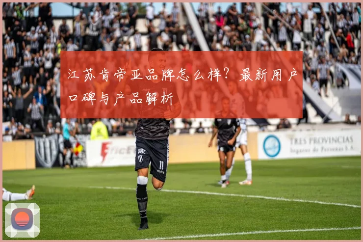 江苏肯帝亚品牌怎么样？最新用户口碑与产品解析
