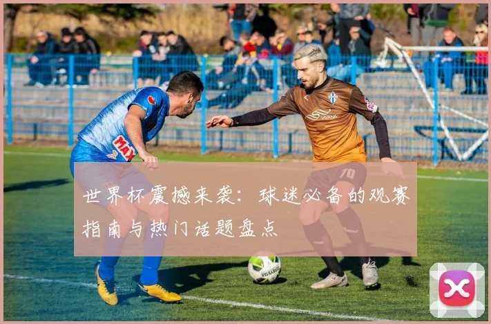 世界杯震撼来袭：球迷必备的观赛指南与热门话题盘点