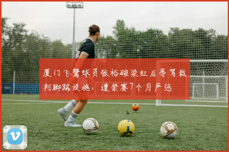 厦门飞鹭球员张裕碹染红后辱骂裁判脚踹设施，遭禁赛7个月严惩