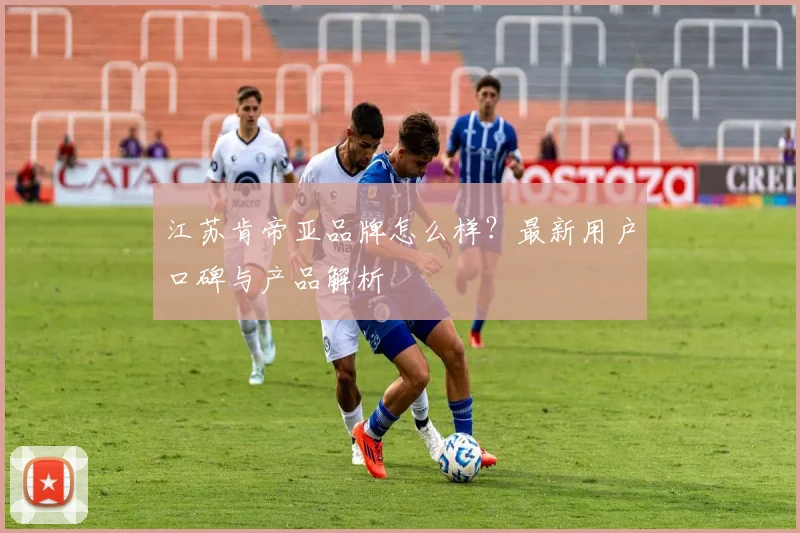 江苏肯帝亚品牌怎么样？最新用户口碑与产品解析