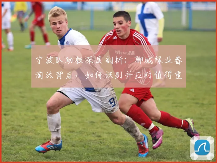 宁波队助教深度剖析：聊城绿业春淘汰背后，如何识别并应对值得重视的对手