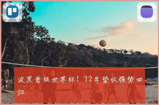 波黑晋级世界杯！12年蛰伏强势回归